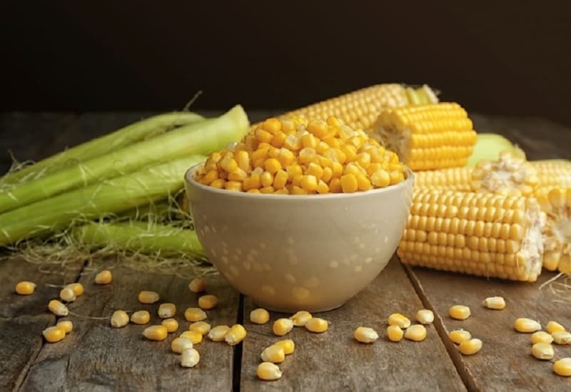 suy thận có được ăn ngô không
