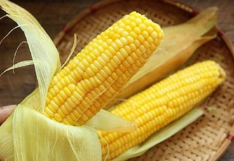 suy thận có được ăn ngô không