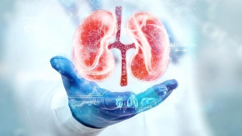 khám gì để biết suy thận