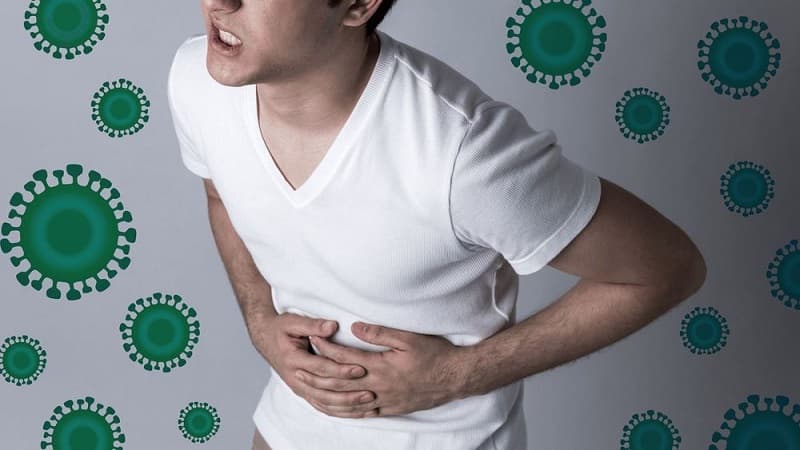 vi khuẩn gây bệnh thương hàn