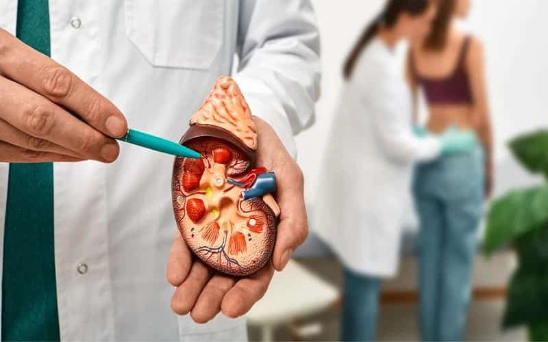 thực đơn 7 ngày cho người suy thận độ 3