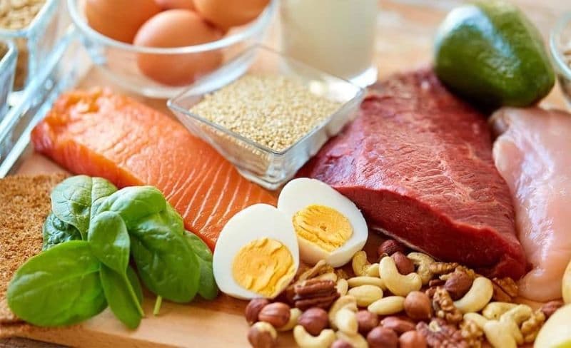 Ăn nhiều đạm có bị suy thận không?