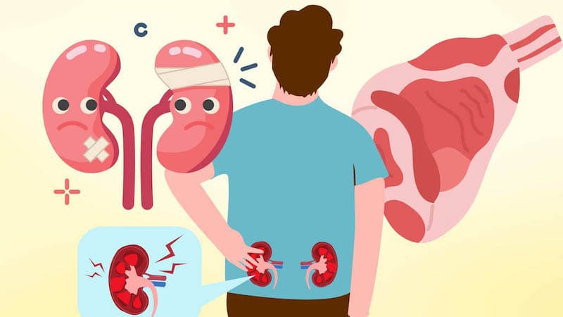 Ăn nhiều đạm có bị suy thận không?