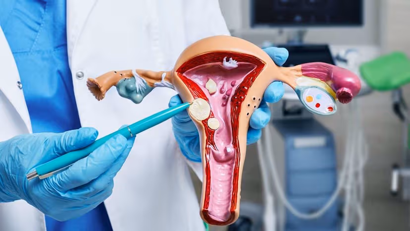 Danh sách bác sĩ sản phụ khoa giỏi tại Thanh Trì được nhiều chị em tin tưởng