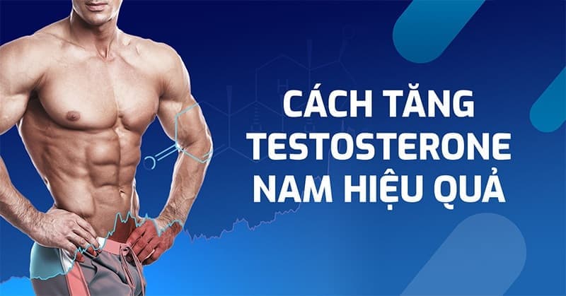 hormone nam