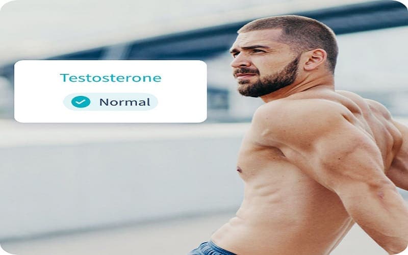 Nội tiết nam giới: Dấu hiệu rối loạn và cách cân bằng hiệu quả