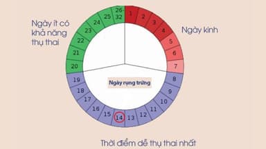 Chu kỳ kinh nguyệt bao nhiêu ngày là bình thường
