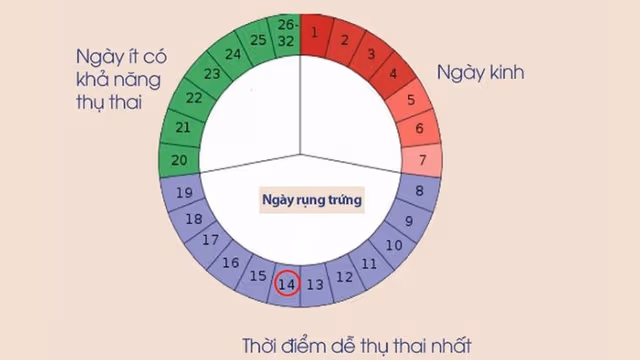 Chu kỳ kinh nguyệt bao nhiêu ngày là bình thường