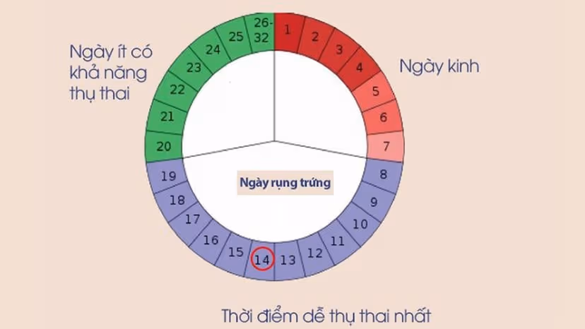 Chu kỳ kinh nguyệt bao nhiêu ngày là bình thường