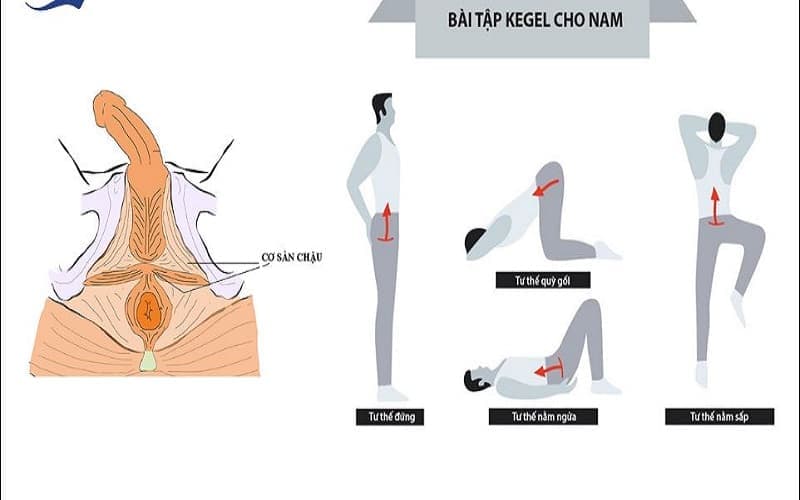 chồng bị liệt dương phải làm sao
