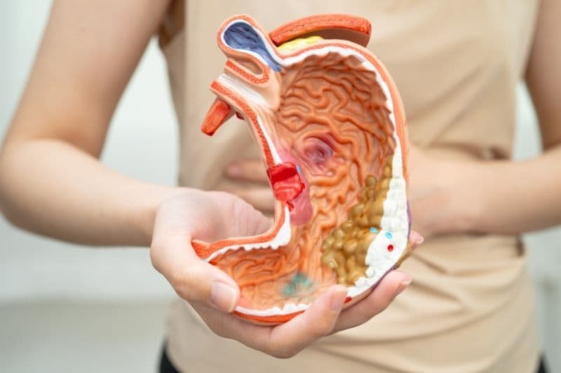 Khám đau dạ dày tại Đại Từ ở đâu uy tín? Vì sao cần khám sớm?