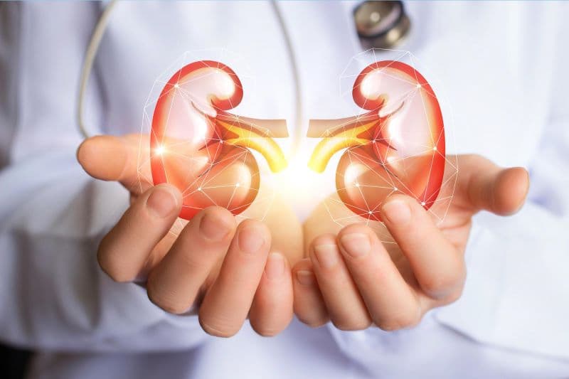 Uống ít nước có bị suy thận không?