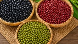 Suy thận ăn đậu đen, đậu xanh được không?