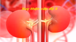 Suy thận giai đoạn 5 có chữa được không?