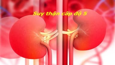 Suy thận giai đoạn 5 có chữa được không?