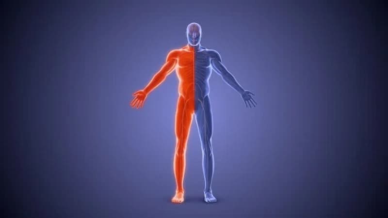 tê nửa người là dấu hiệu bệnh gì