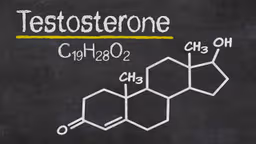 Testosterone là gì? Vai trò và nguồn gốc của hormone testosterone nam