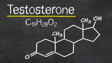 Testosterone là gì? Vai trò và nguồn gốc của hormone testosterone nam