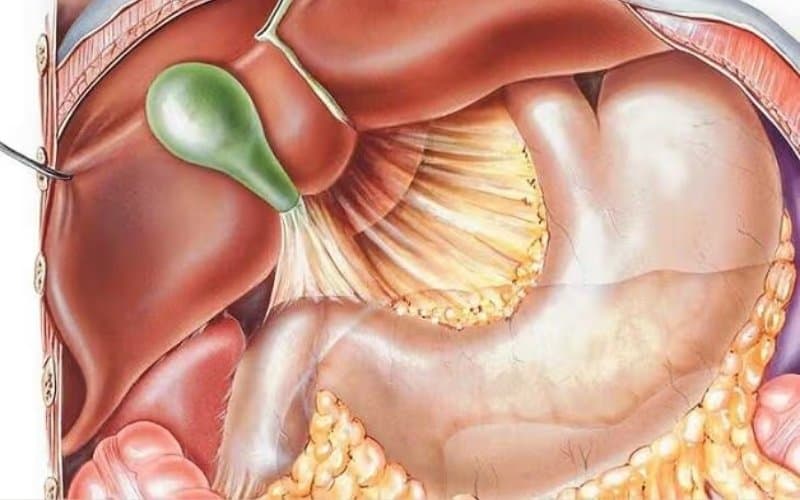 trào ngược dịch mật