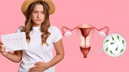 Viêm vùng kín có ảnh hưởng đến kinh nguyệt không?