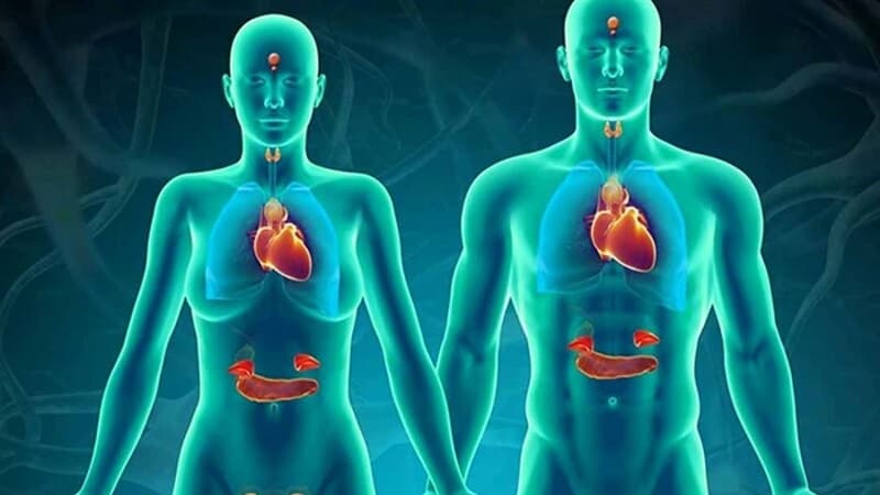 bác sĩ nội tiết giỏi ở Đại Mỗ