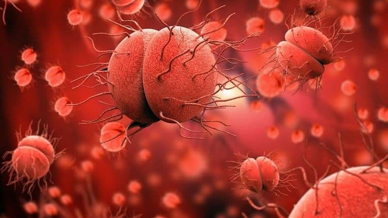 Bệnh lậu có thể gây nhiễm trùng tại nhiều vị trí như niệu đạo, cổ tử cung, trực tràng, họng và mắt.
