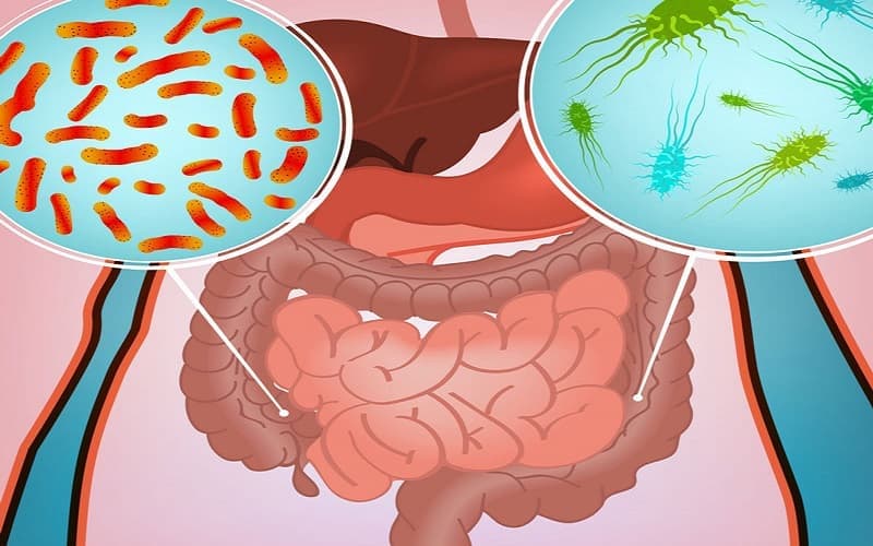 nguyên nhân gây rối loạn tiêu hóa