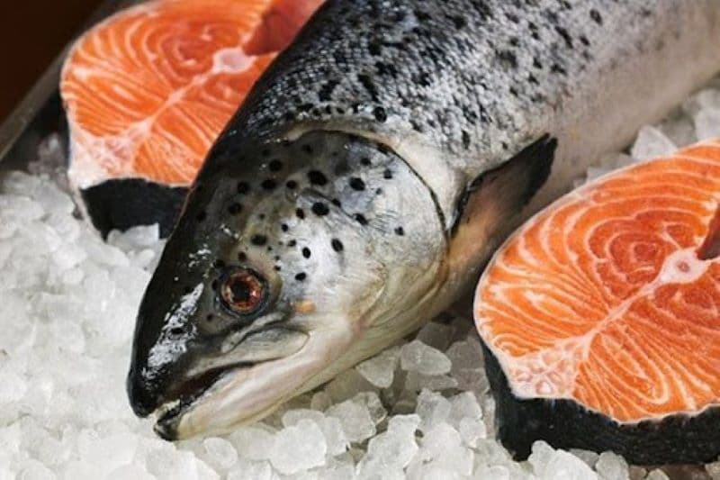 chất chống oxy hóa astaxanthin