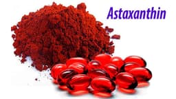 Chất chống oxy hóa astaxanthin là chất gì?