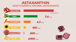 Các chất chống oxy hóa mạnh nhất