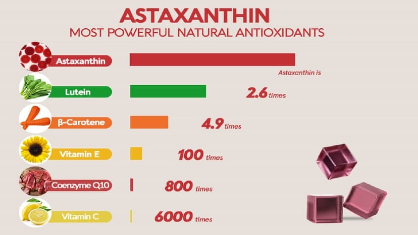 Các chất chống oxy hóa mạnh nhất