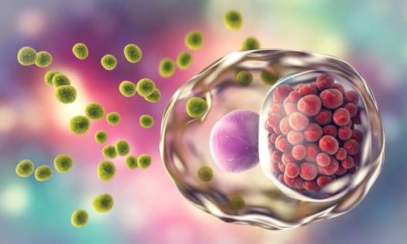Bác sĩ giỏi chữa chlamydia