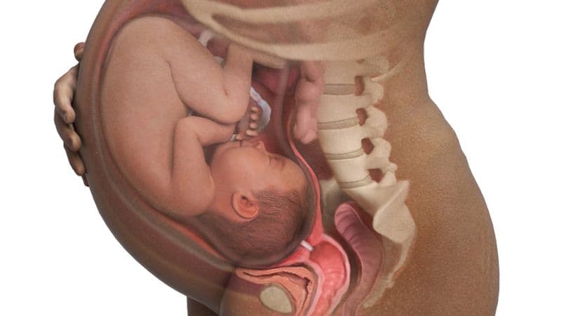 Chu vi vòng bụng thai nhi nhỏ có sao không?