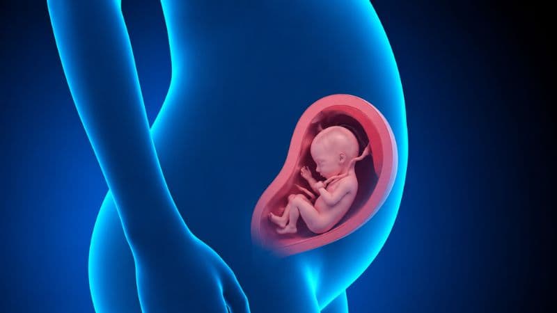 Chu vi vòng bụng thai nhi nhỏ có sao không?