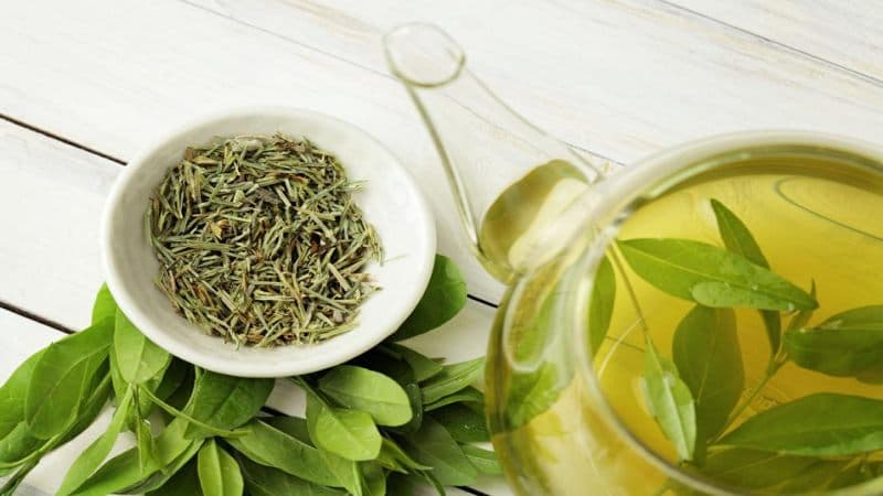 chất chống oxy hóa trong trà xanh