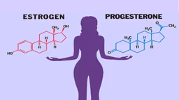 Sự thay đổi của hormone trong chu kỳ kinh nguyệt