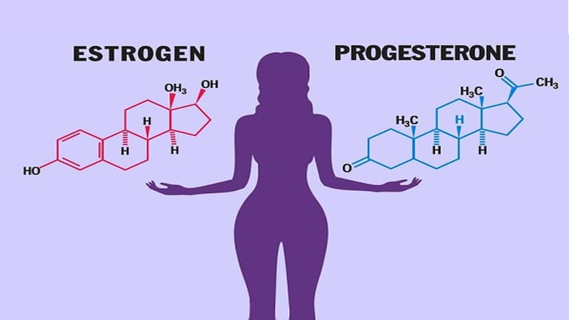 Sự thay đổi của hormone trong chu kỳ kinh nguyệt