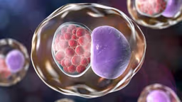 Khi nào cần khám Chlamydia? Gợi ý địa chỉ khám Chlamydia ở Đại Từ uy tín