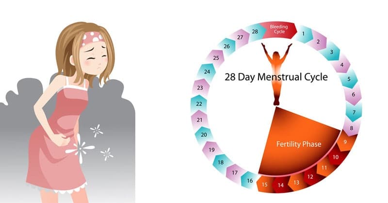hormone trong chu kỳ kinh nguyệt