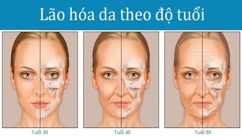 độ tuổi lão hóa của phụ nữ