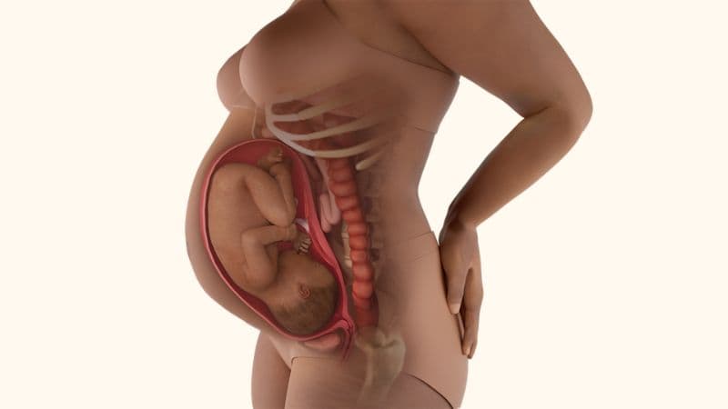Thai 34 tuần đường kính lưỡng đỉnh bao nhiêu?