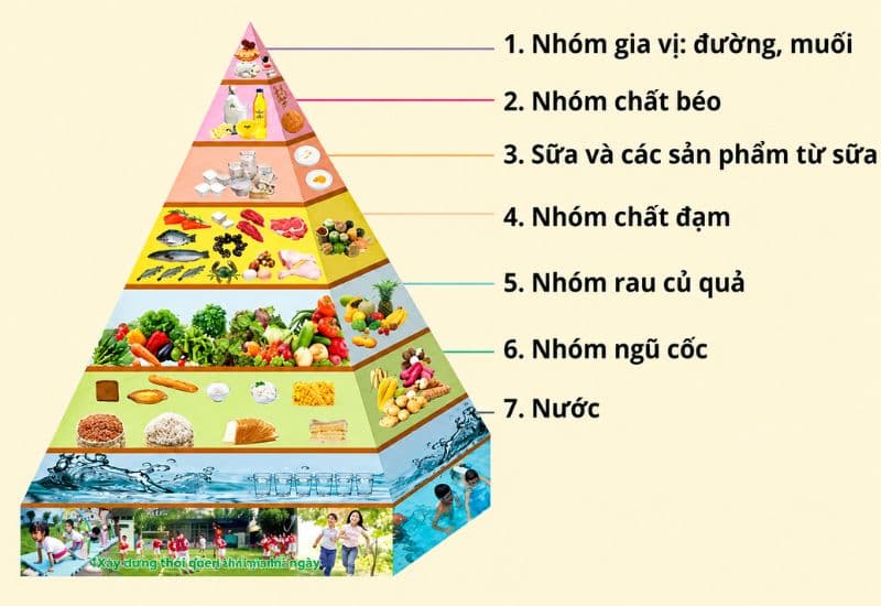Đặc điểm tháp dinh dưỡng cho trẻ 3 5 tuổi