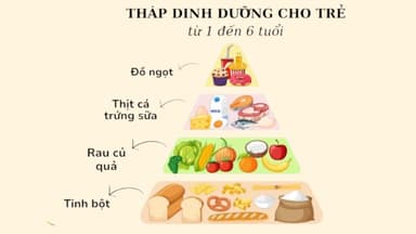 Đặc điểm tháp dinh dưỡng cho trẻ từ 1 đến 6 tuổi