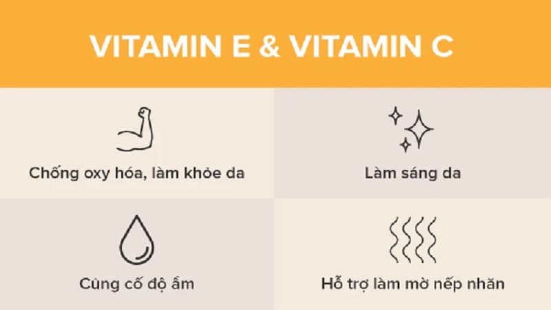 cơ chế chống oxy hóa của vitamin e