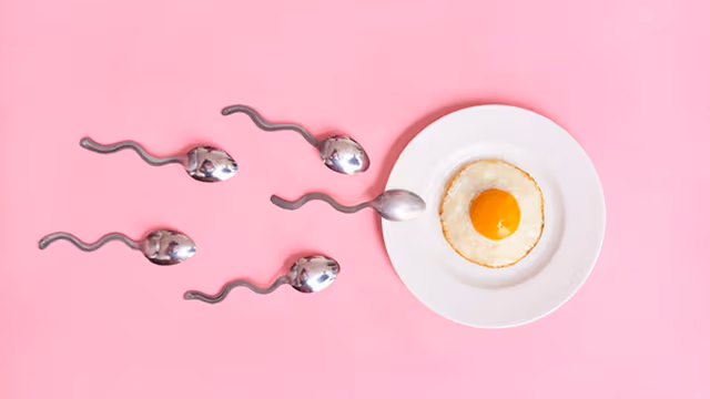 Bí quyết để dễ thụ thai: Cẩm nang tăng cơ hội mang thai tự nhiên