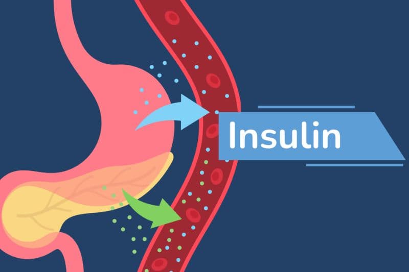 Bệnh liên quan đến sự thiếu hụt hoặc hoạt động không hiệu quả của insulin.