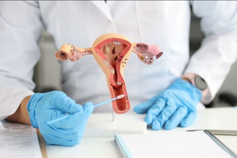 Điều trị viêm âm hộ cần dựa trên nguyên nhân gây bệnh, thay vì áp dụng một phương pháp chung cho mọi trường hợp