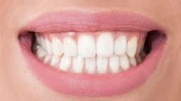 Hàm răng: Cấu tạo, chức năng và bí quyết chăm sóc toàn diện