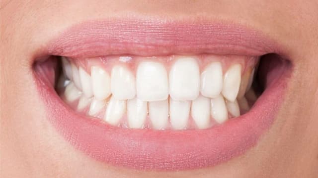 Hàm răng: Cấu tạo, chức năng và bí quyết chăm sóc toàn diện