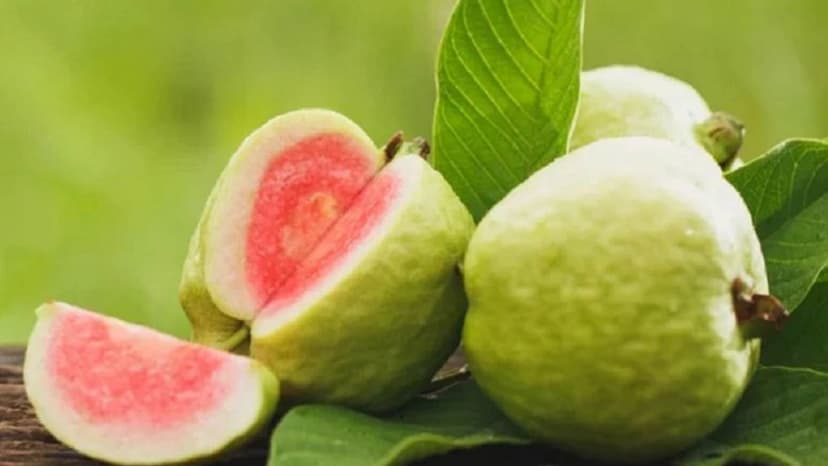 Ổi có tốt cho bà bầu: Lợi ích thai kỳ và cách ăn đúng chuẩn
